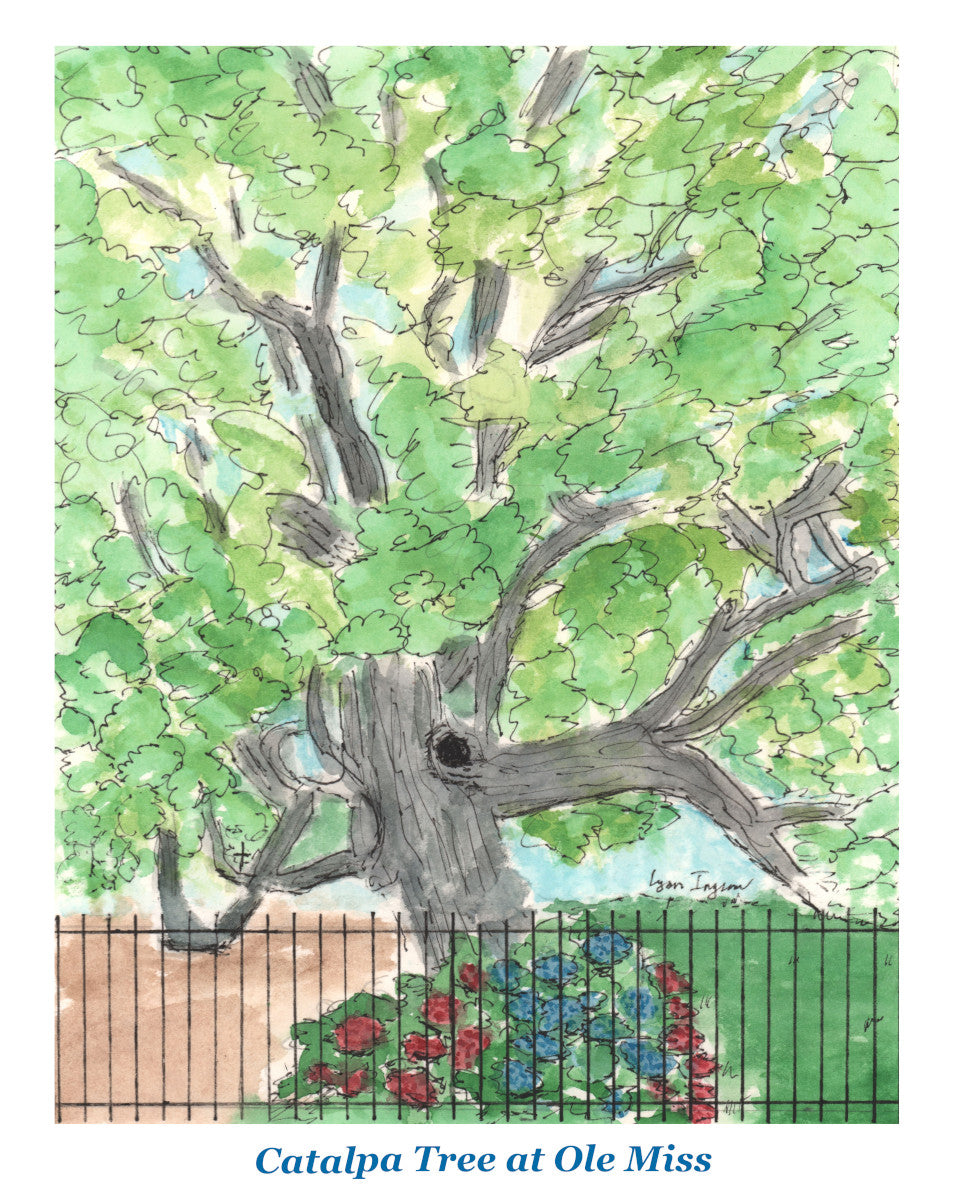 Catalpa Tree at Ole Miss
