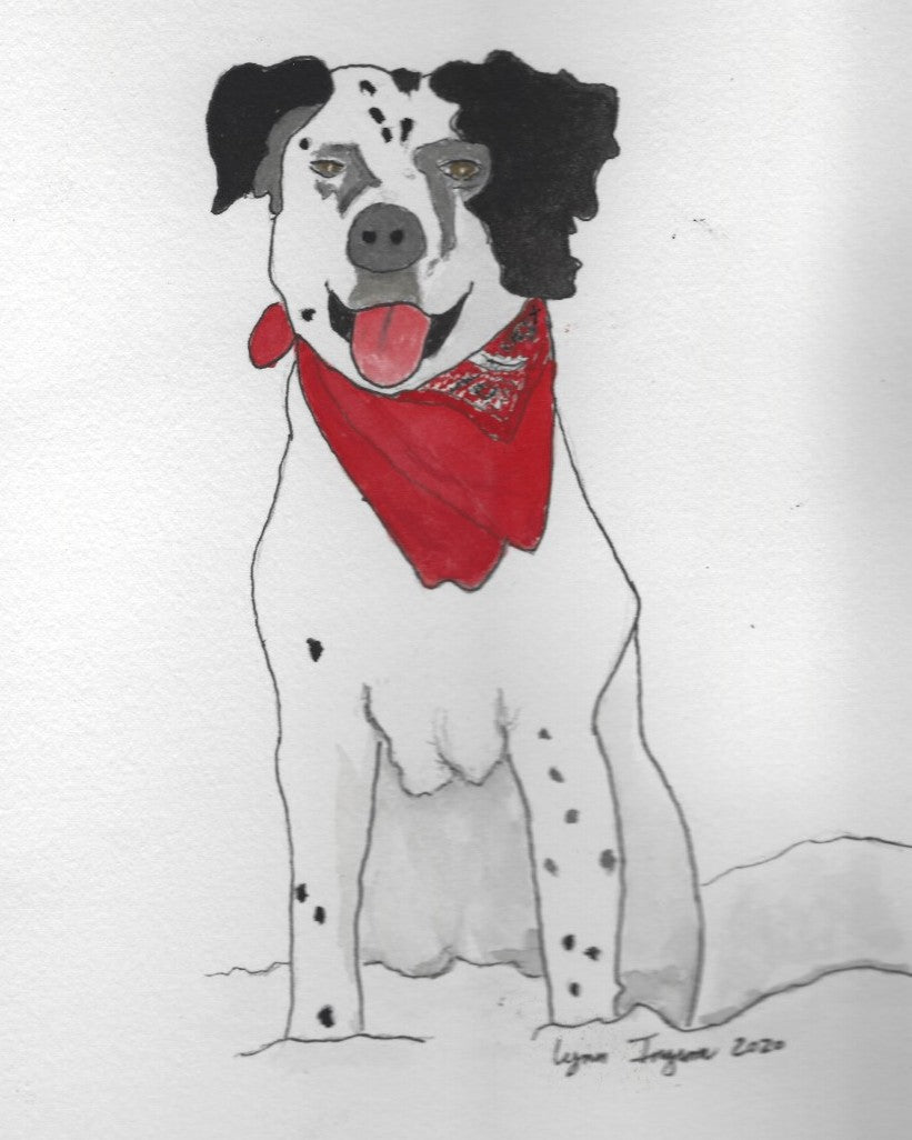 Ace