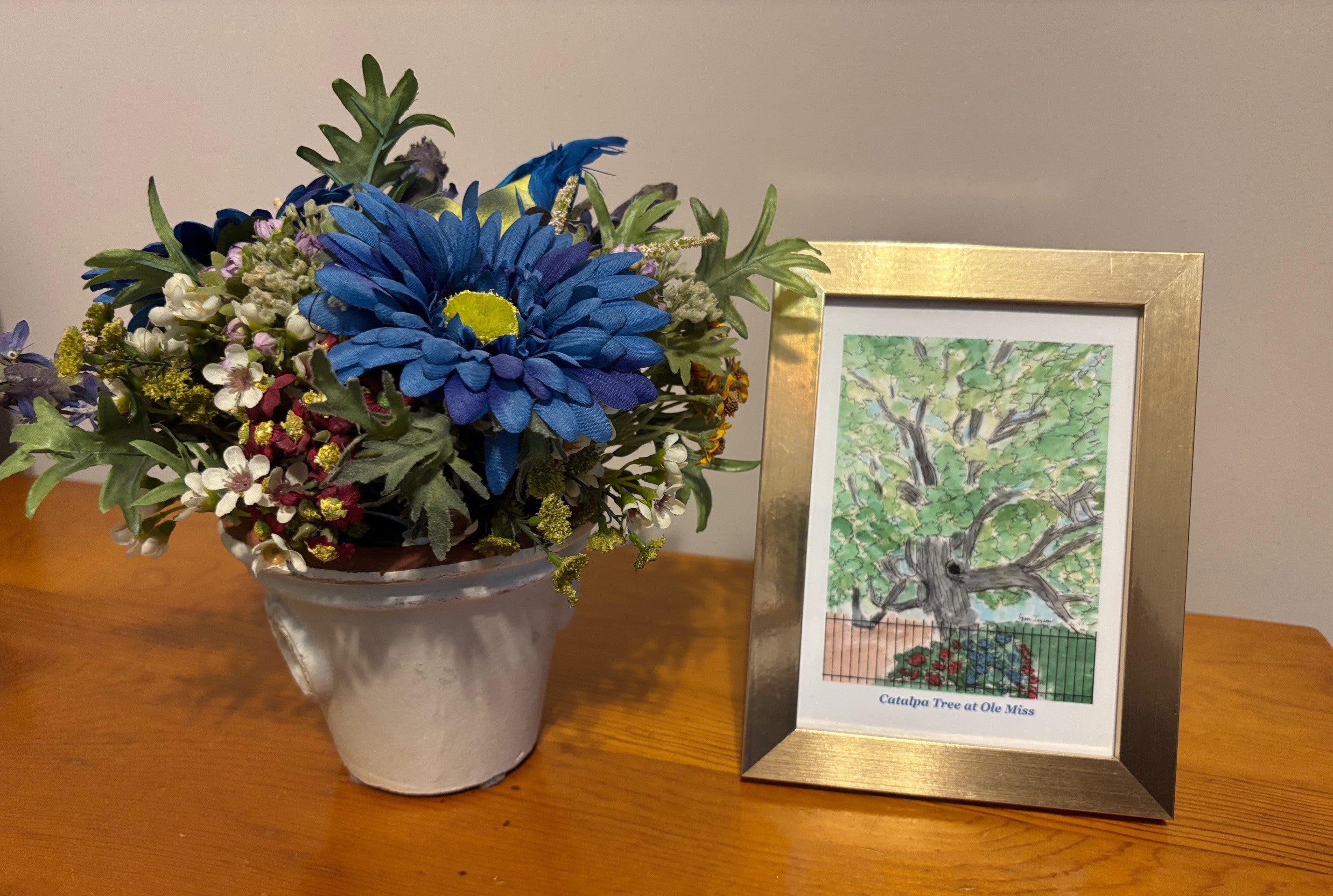 Framed Catalpa Tree at Ole Miss