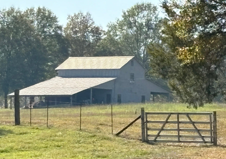 Lafayette County Barn 3 by 2